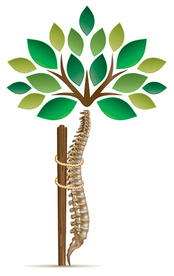 Ортопедическое дерево